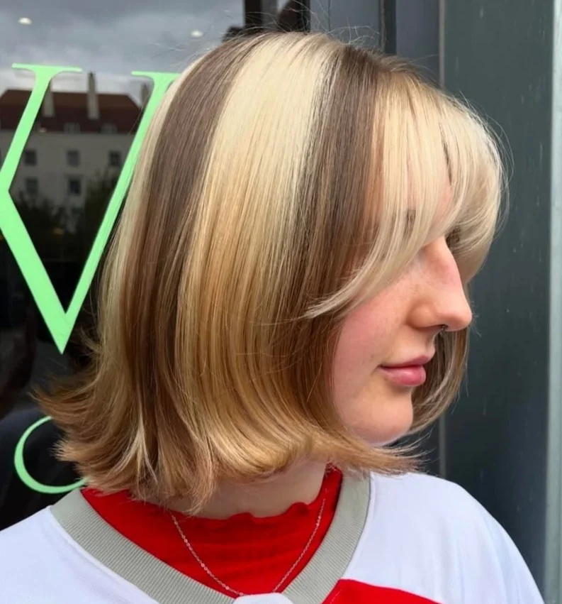 2000s Skunk Hair
